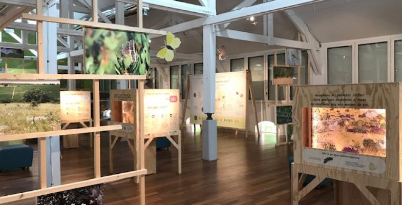 expo sentinelles certes