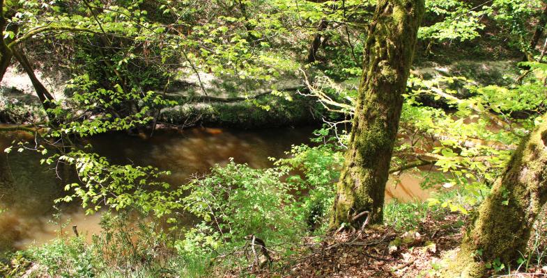 Département de la Gironde
