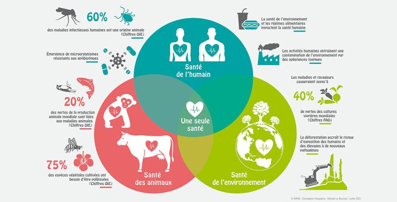 Une seule santé : santé de l'humain, de l'environnement et des animaux