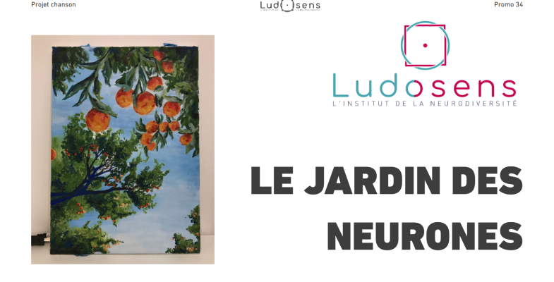 le jardin des neurones