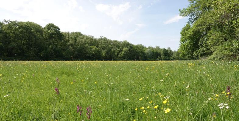 Photo de la parcelle agricole de Beautiran