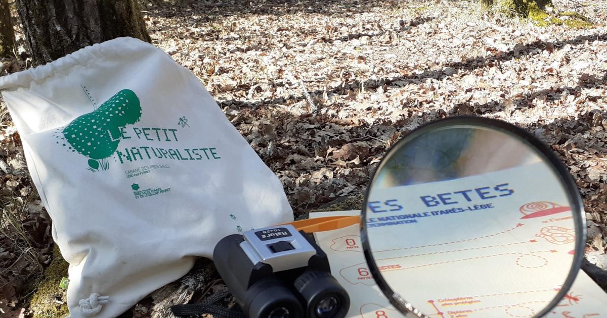 Réserve Naturelle Nationale des Prés Salés d'Arès-Lège