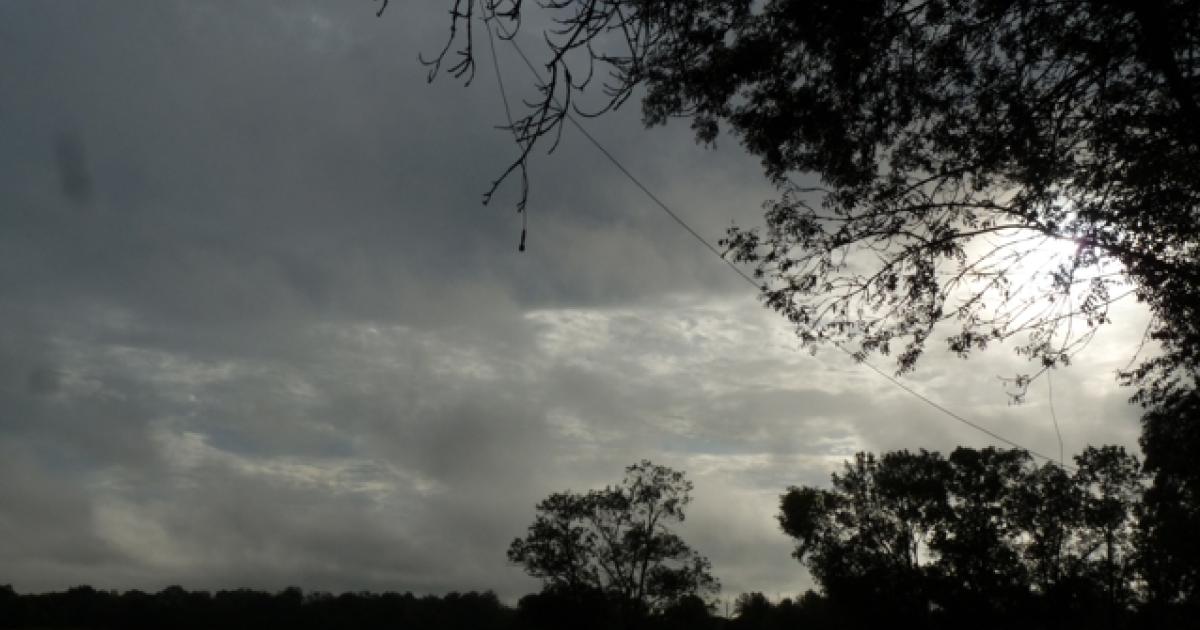 Balade au crépuscule spéciale : Chauve-souris