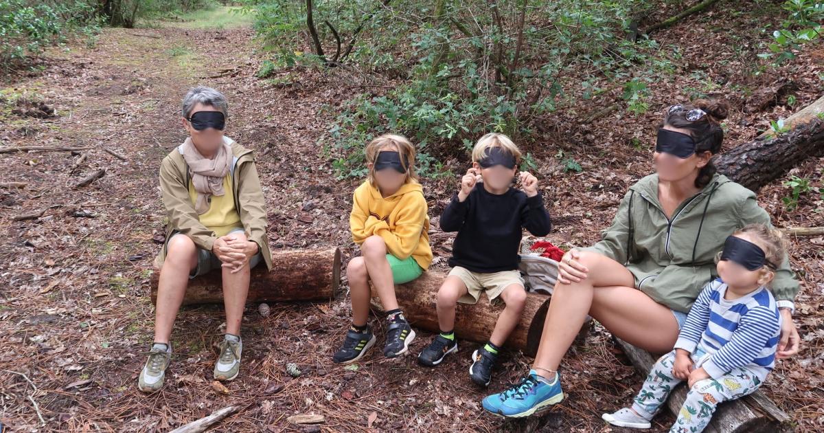 En immersion dans la forêt