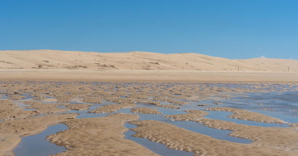 De la Dune du Pilat au Banc d'Arguin
