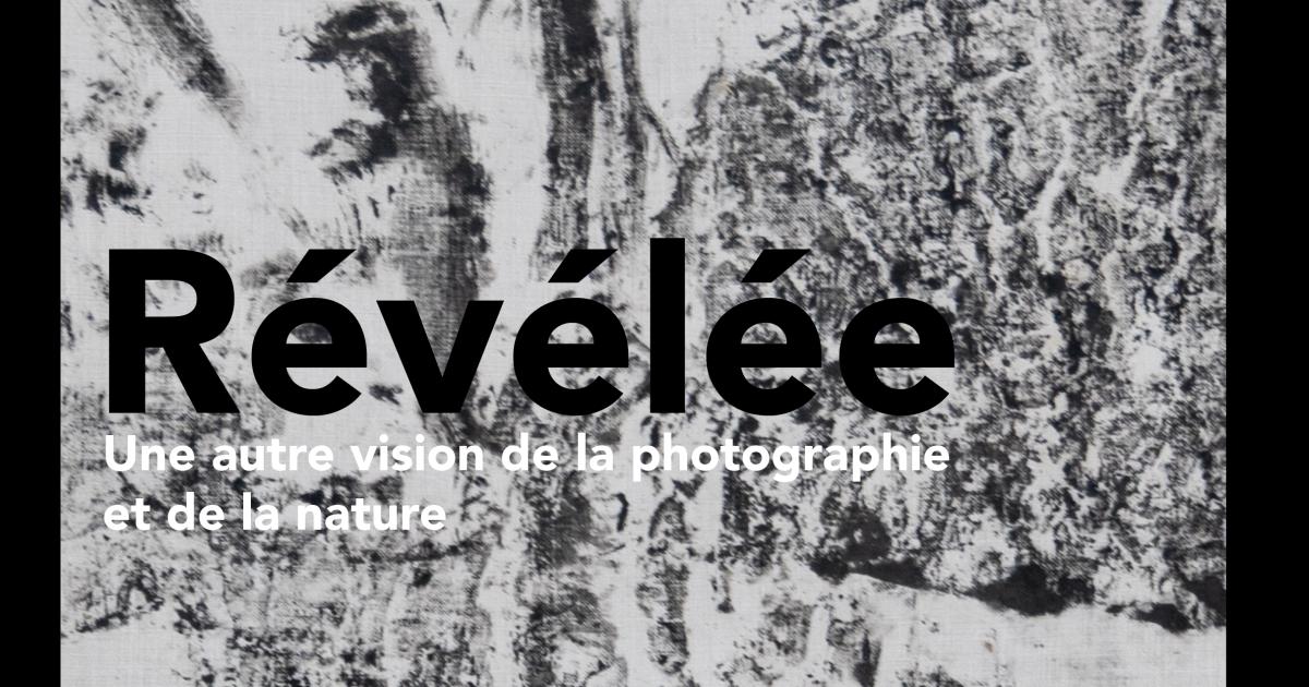 Révélés