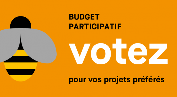budget participatif : votez pour vos projets préférés