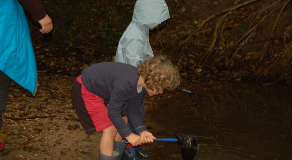 découverte des petites bêtes de l'eau
