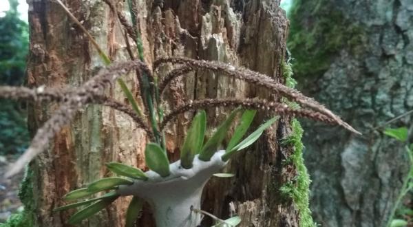 gardien de la rivière