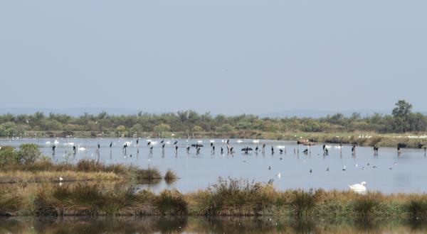 Ambiance de septembre