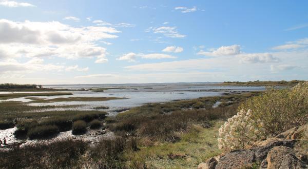 Vue sur le chenal de Certes