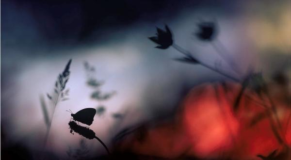 Balade au crépuscule