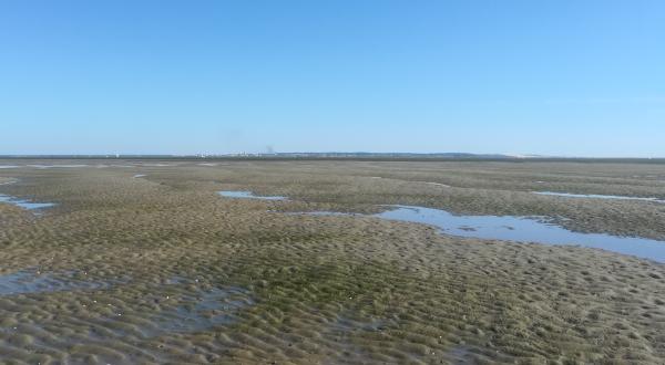 estran du Bassin