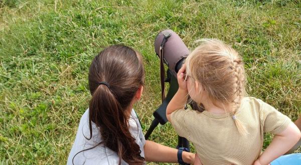 Observation à la longue vue