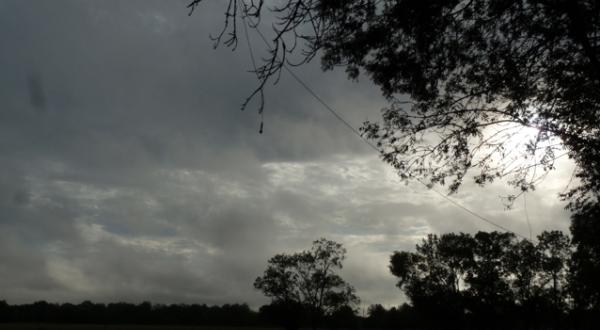 Ecoute des chauve-souris