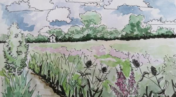 Aquarelle du chemin de visite avec les prairies et la maison en fond. 