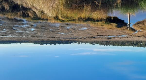 Prés salés submergés