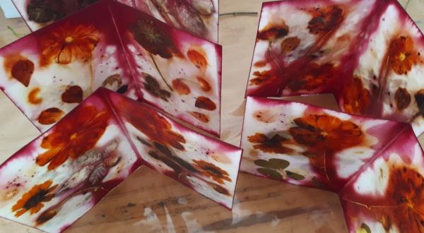 exemple de teinture végétale papier