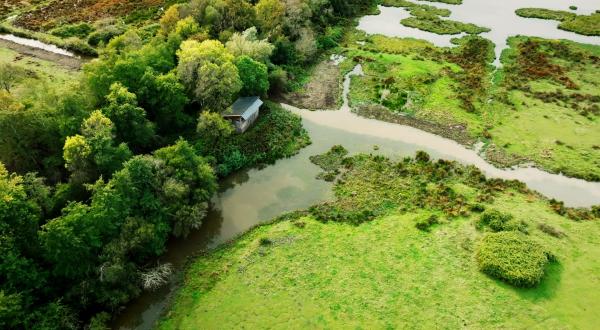 Image drone d'un plan d'eau du marais avec un observatoire