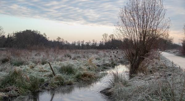 Paysage d'hiver du marais avec un chemin, un fossé en eau et une prairie le tout gélé