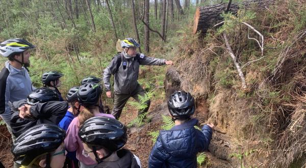 vtt nature