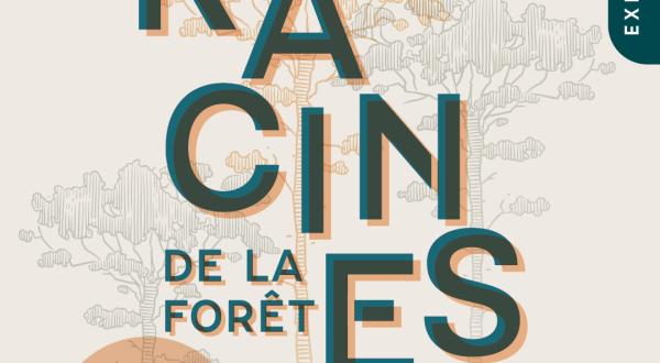 exposition Racines de la forêt 