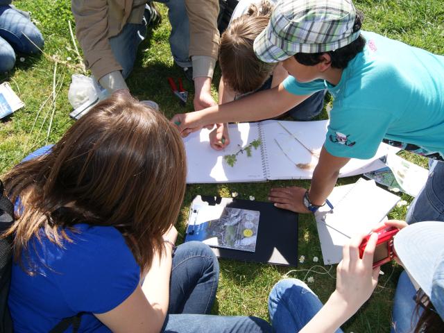 billets courant vert paysage