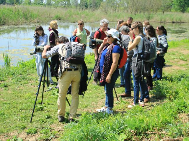 visite guidée sur l'Île Nouvelle