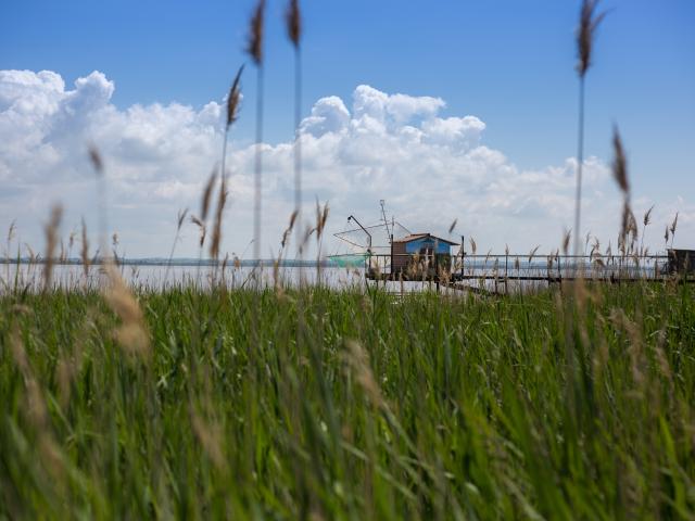 Parc naturel du Médoc