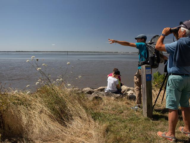 balade guidée Certes